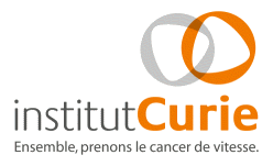 groupe-bsl-securite-igh-institut-curie groupe bsl securite igh institut curie
